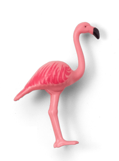 Pink bird